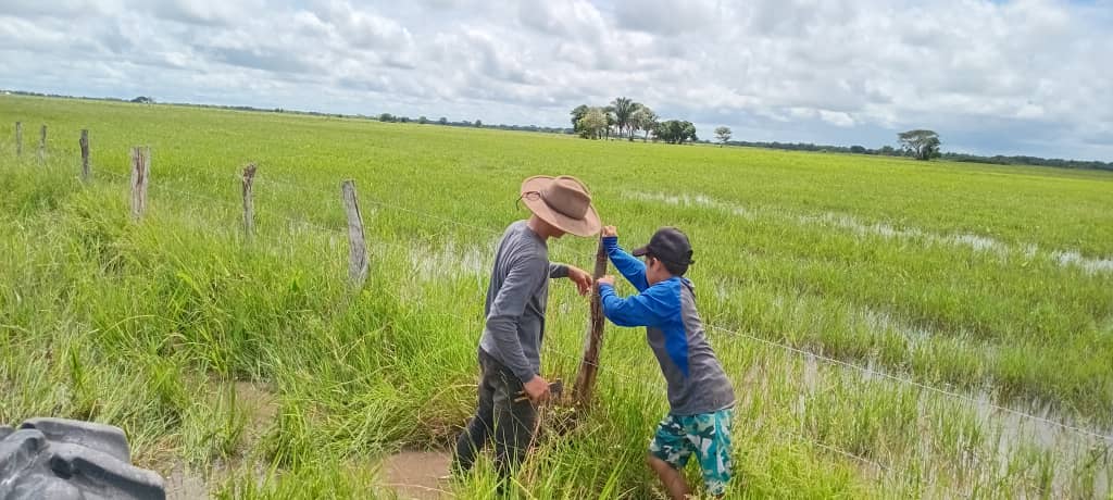 La propiedad agraria en Venezuela una aproximación